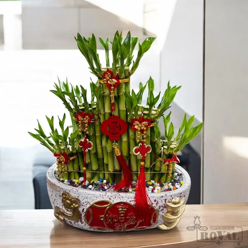 開幕送禮指南|15 種實用開幕禮物、花籃、盆栽一次整理! 4 開幕送禮推薦 1 :開運竹|節節高升