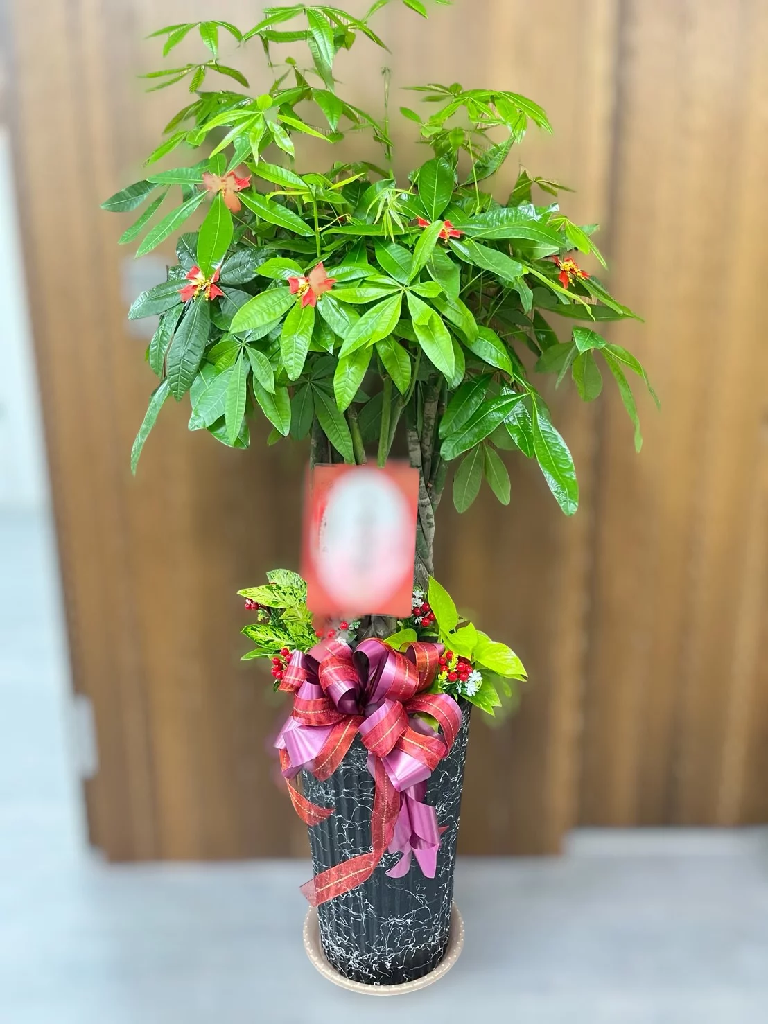 開幕送禮指南|15 種實用開幕禮物、花籃、盆栽一次整理! 5 開幕送禮推薦 2 :發財樹|財源滾滾