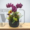 桌上蘭花 mf01801 保柚平安 3 mf01801